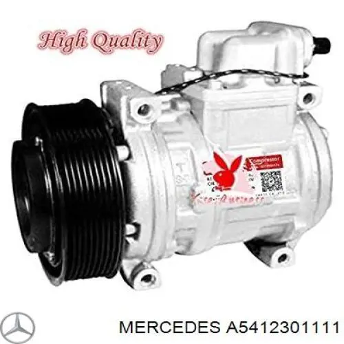Компресор кондиціонера A5412301111 Mercedes