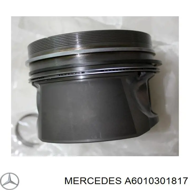 Поршень в комплекті на 1 циліндр, STD на Mercedes S-Class (W140)