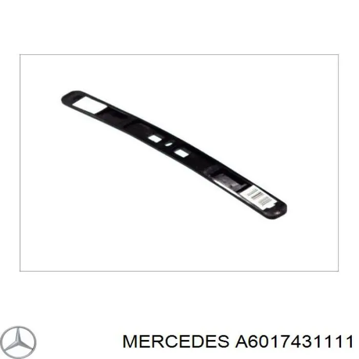 A6017431111 Mercedes Планка дверей розпашних задньої, нижня