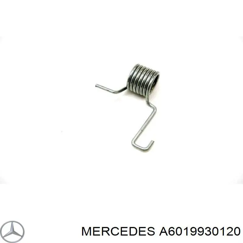A6019930120 Mercedes Пружина болта кріплення колектора