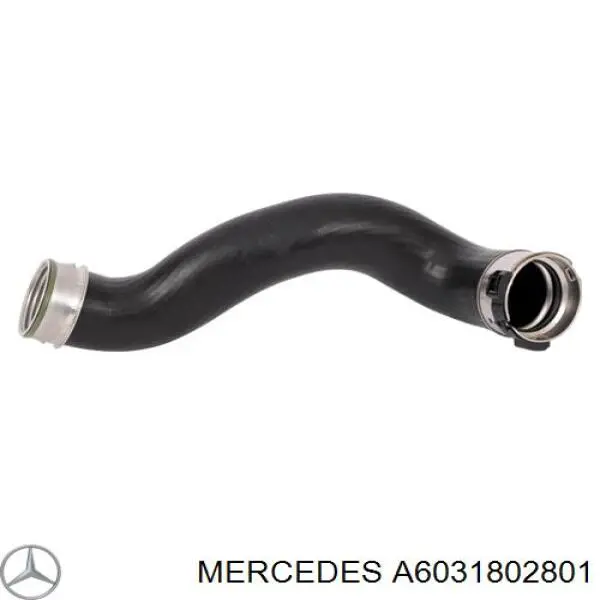 Помпа масляна Mercedes A6031802801 ціна, від 99.54 USD