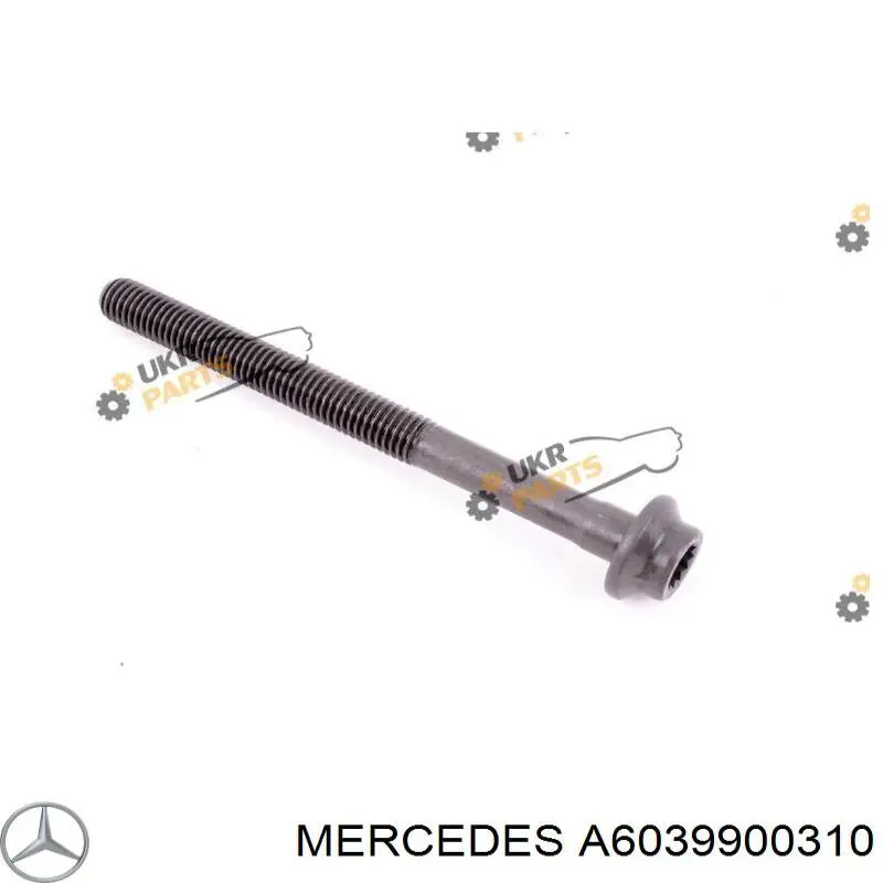 A6039900310 Mercedes болт головки блока циліндрів, гбц