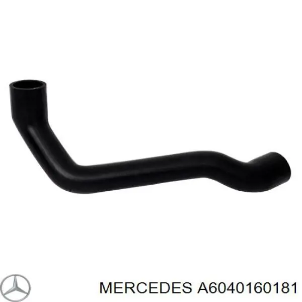 Купити A6040160181 Mercedes Шланг для видалення повітря