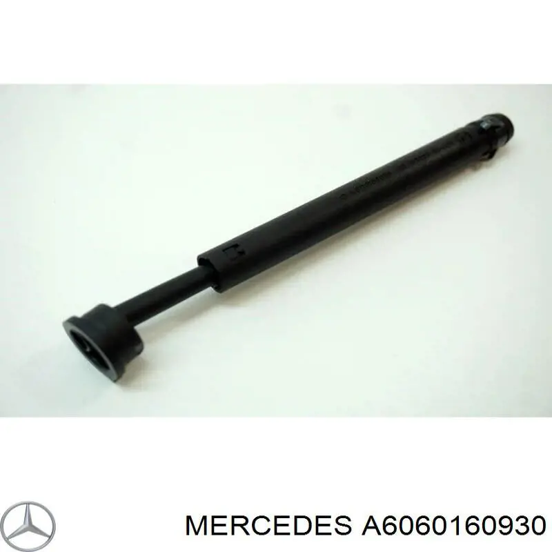 A6060160930 Mercedes 