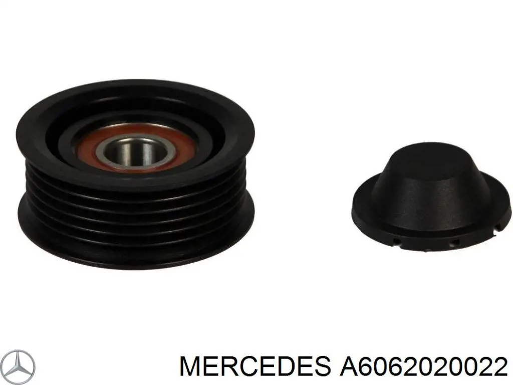 A6062020022 Mercedes 