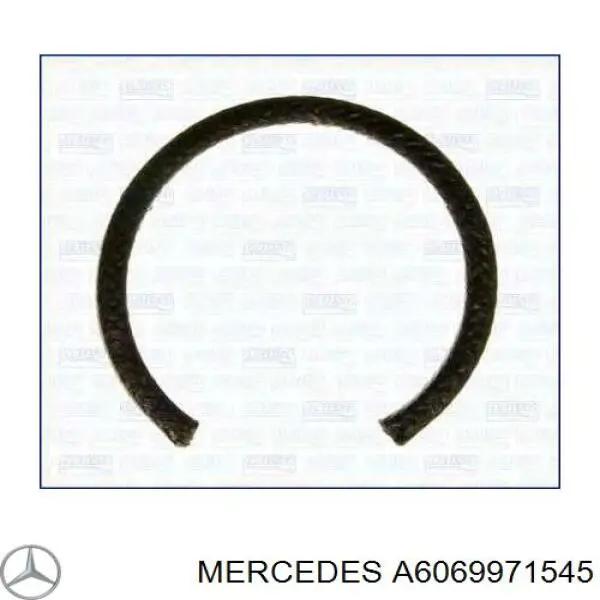 Ущільнююче кільце форсунки мастила ланцюга ГРМ Mercedes A6069971545 ціна, від 3.78 USD