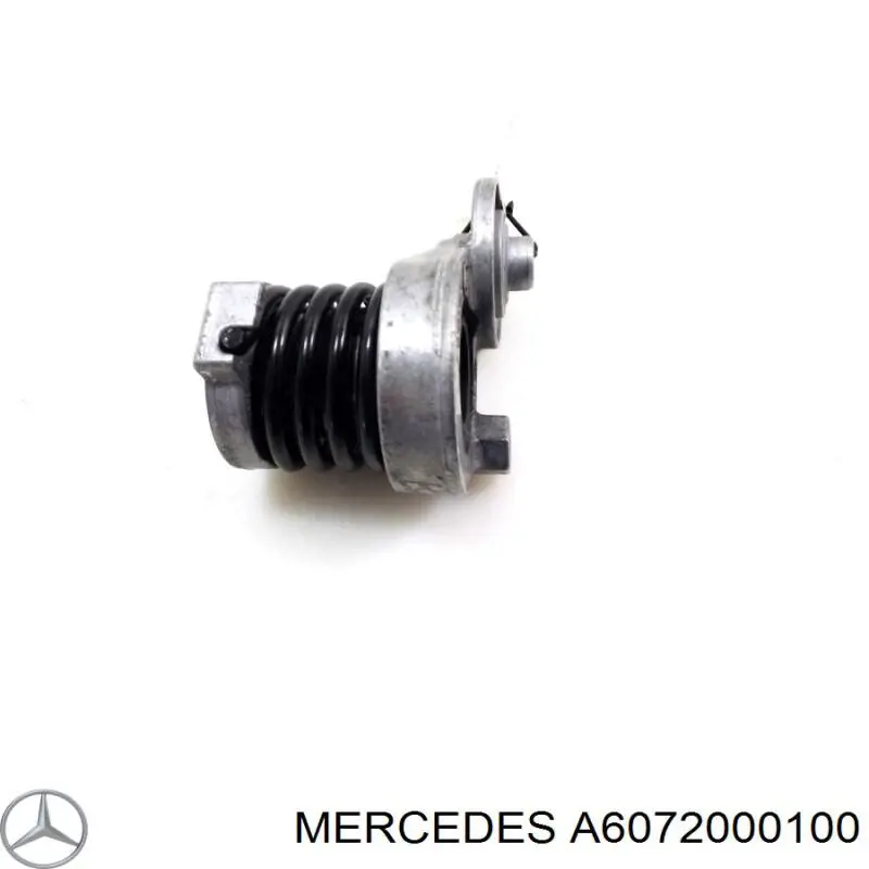  6072000100 Mercedes