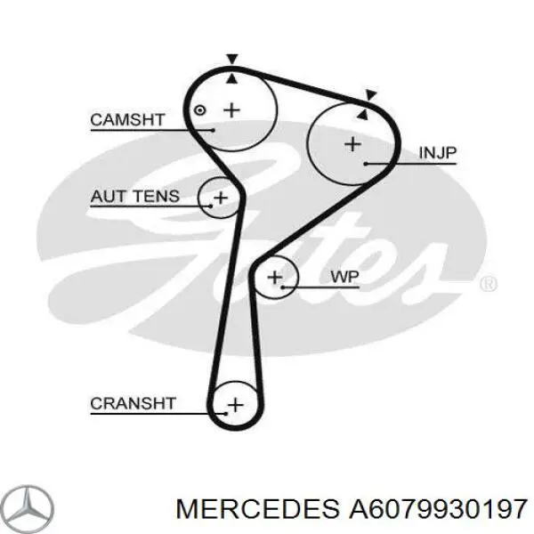Комплект ГРМ Mercedes A6079930197 ціна, від 116.77 USD