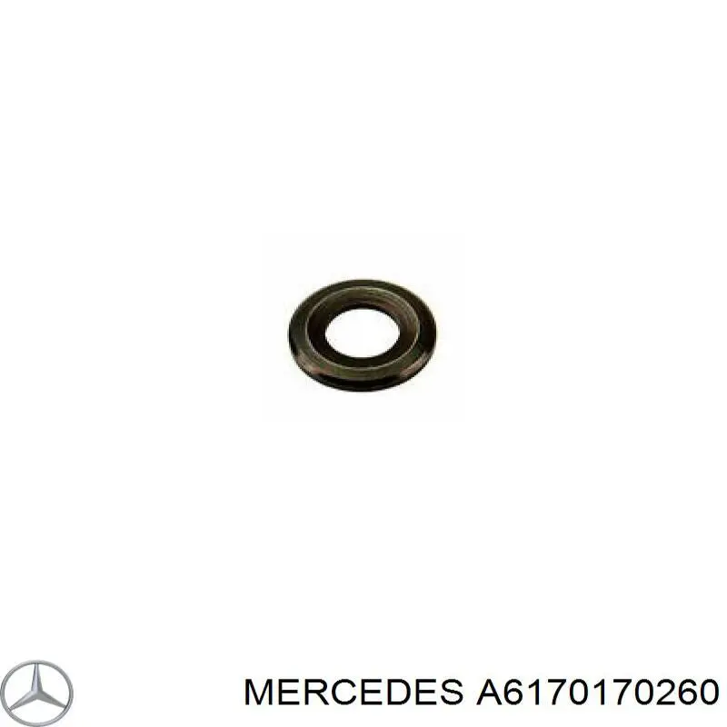 Купити A6170170260 Mercedes Кільце форсунки