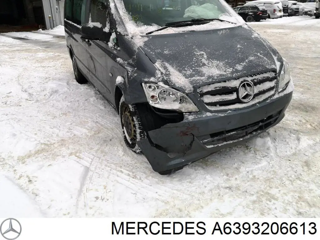 Купити A6393206613 Mercedes Амортизатор передньої підвіски