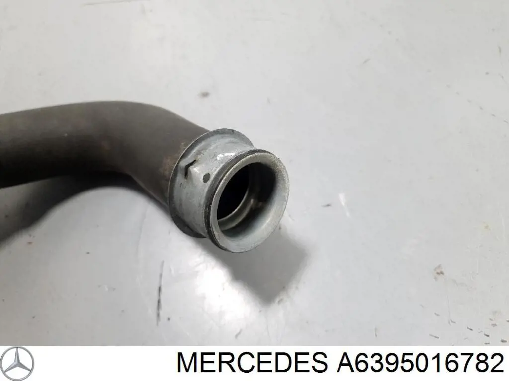 DWM034TT Thermotec Шланг/патрубок радіатора охолодження, нижній