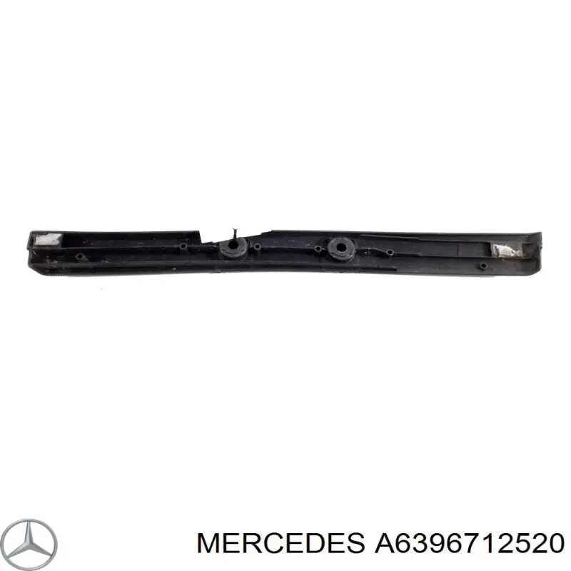 Купити A6396712520 Mercedes 