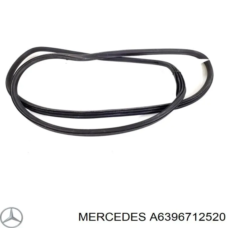  A6396712520 Mercedes