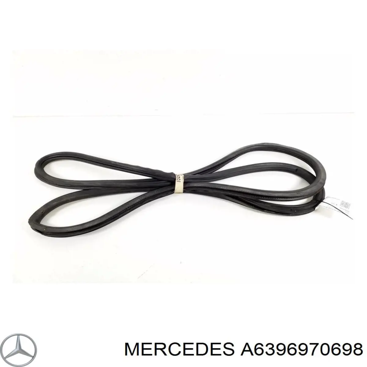 A6396970698 Mercedes Прокладка дверей передніх, лівих (на кузові)