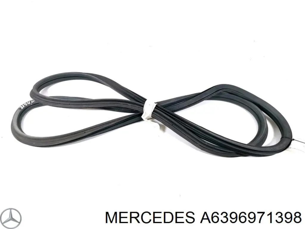 A6396971398 Mercedes 