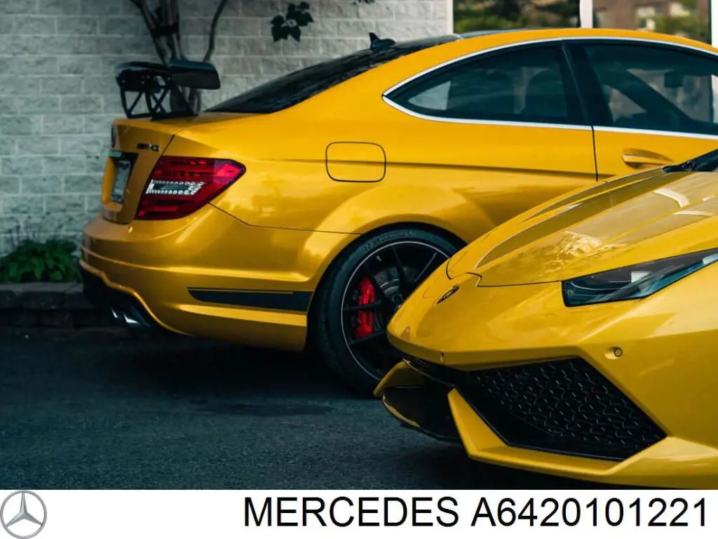 A6420101221 Mercedes Головка блоку циліндрів (ГБЦ), права