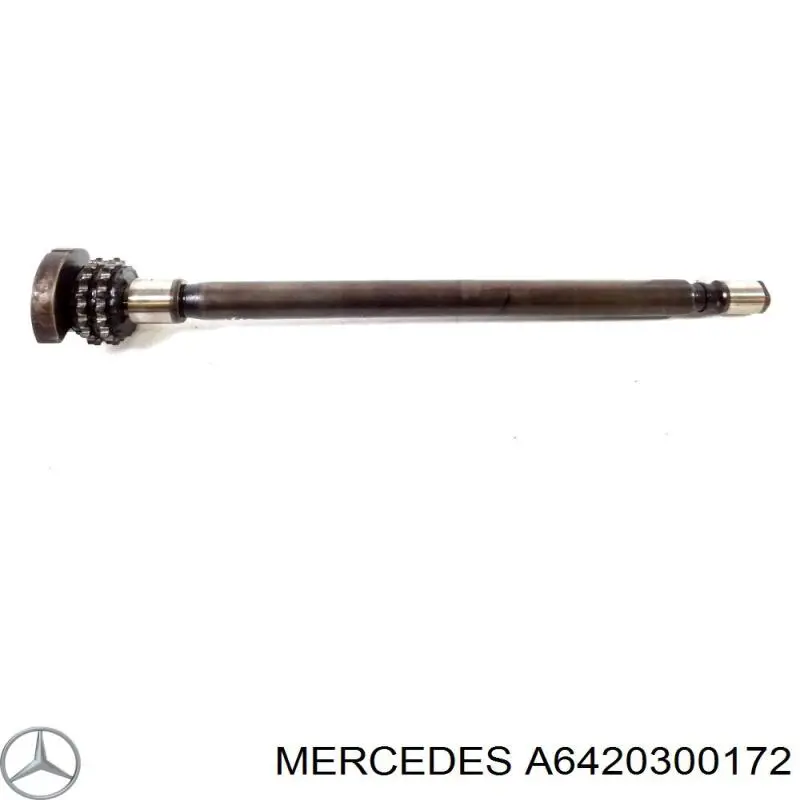 A6420300172 Mercedes 