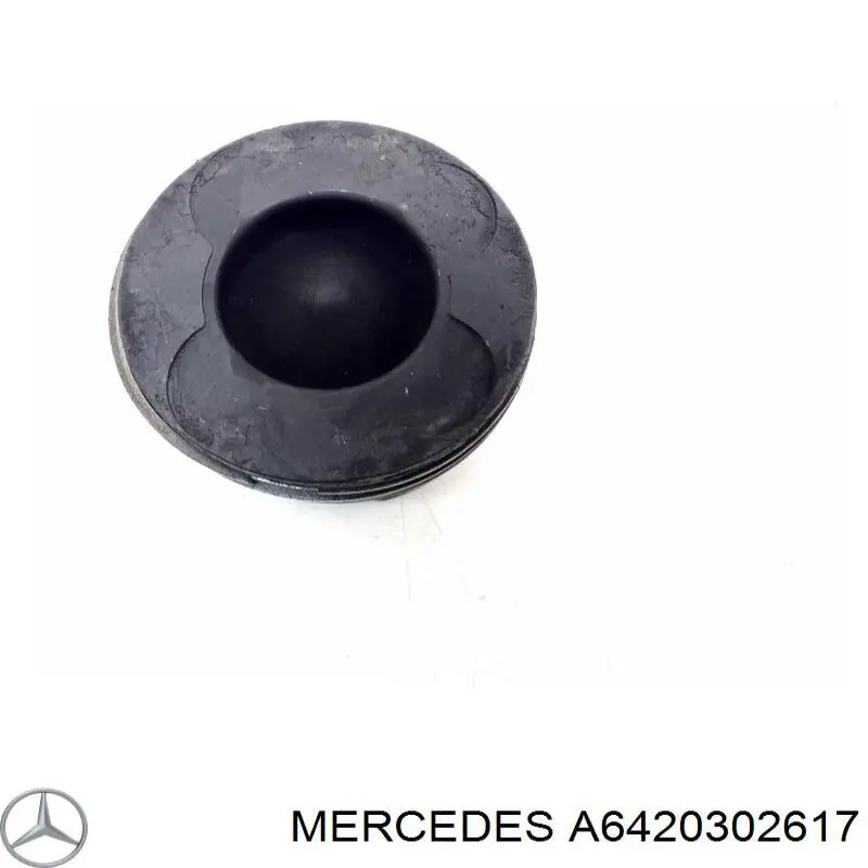 Поршень в зборі Mercedes A6420302617 ціна, від 99.10 USD