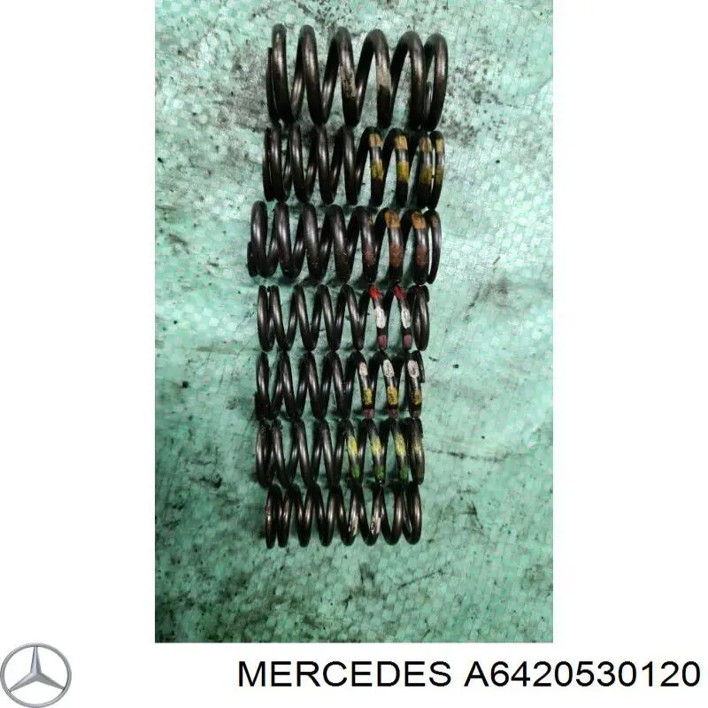 A6420530120 Mercedes 