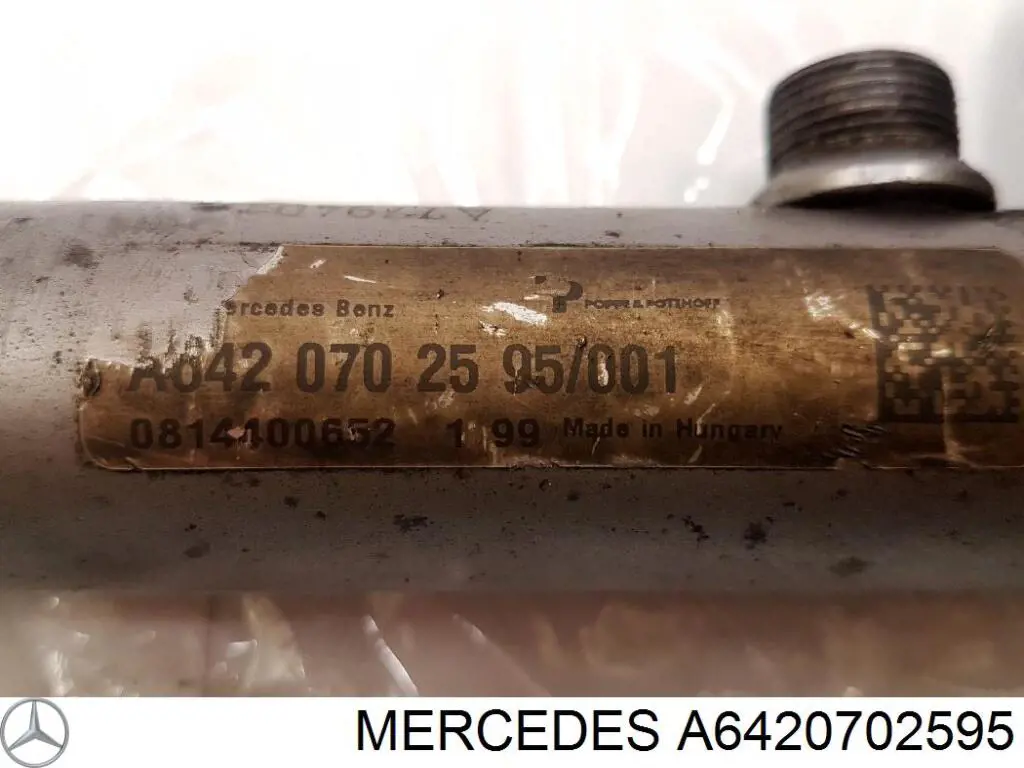 Купити A6420702595 Mercedes Розподільник палива (рампа) правий