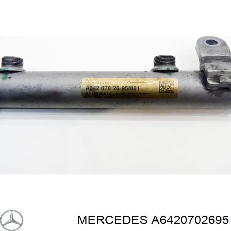Розподільник палива (рампа) правий Mercedes A6420702695 ціна, від 11.51 USD