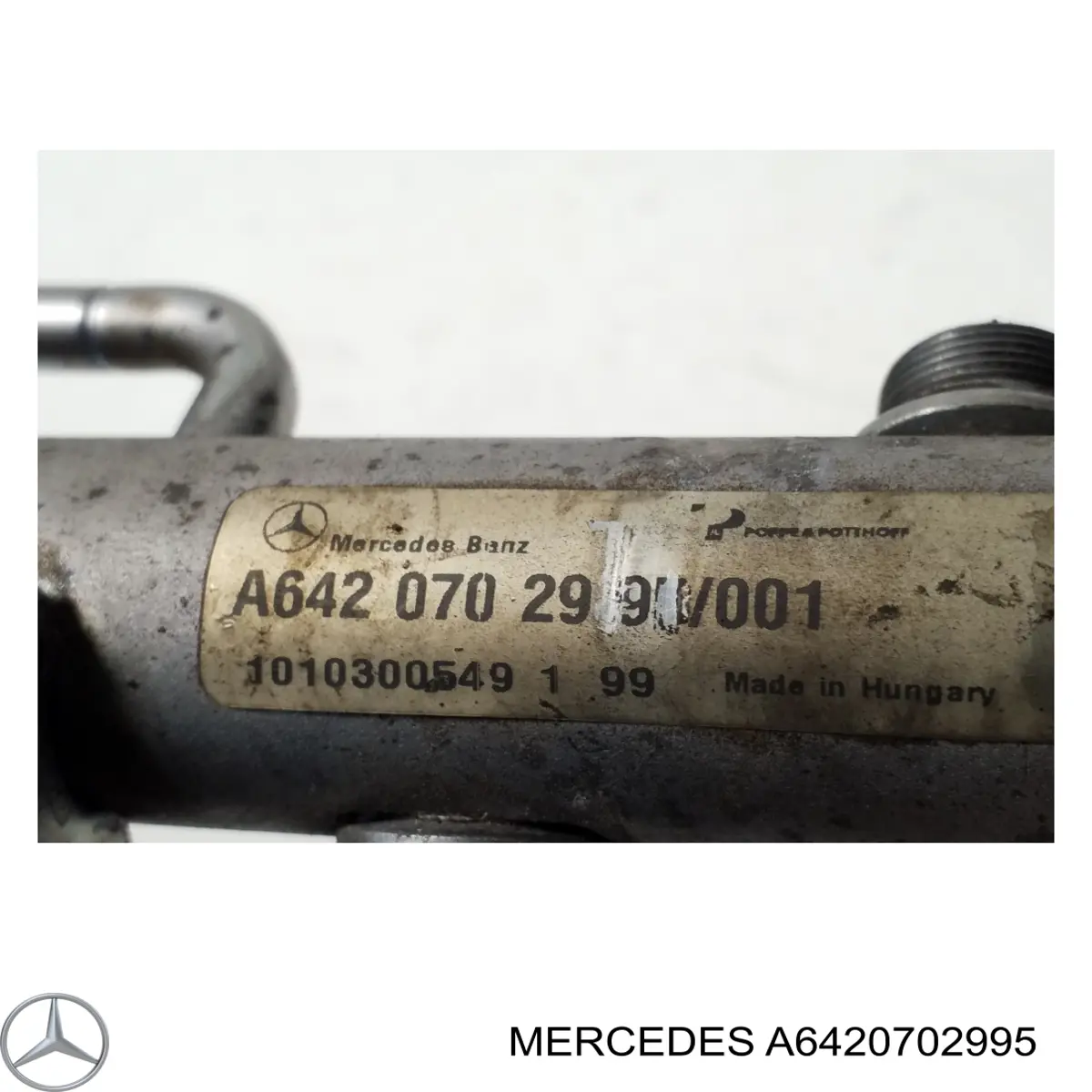 A6420702995 Mercedes Розподільник палива (рампа) лівий