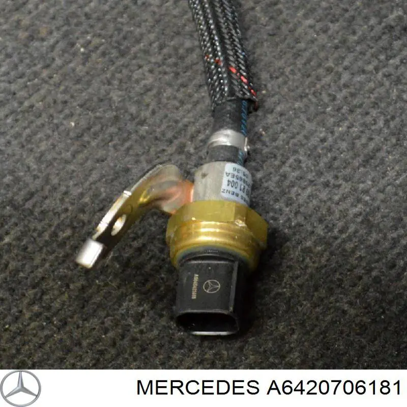 Купити A6420706181 Mercedes Шланг паливний, універсальний