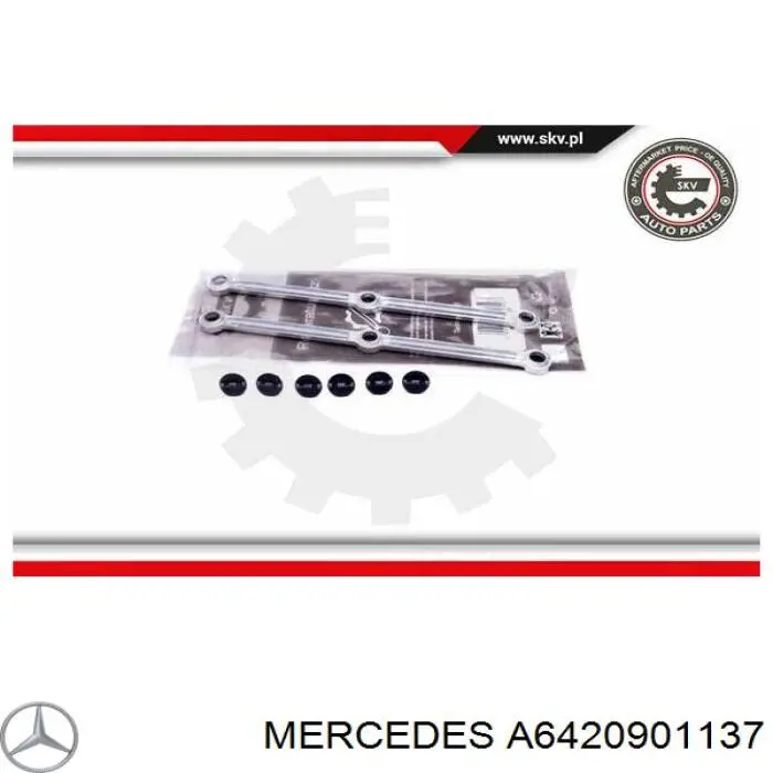 Купити A6420901137 Mercedes Колектор впускний, правий