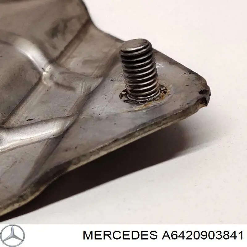  A6420903841 Mercedes