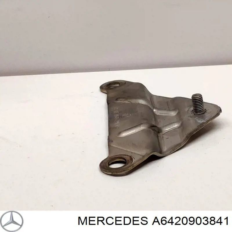 A6420903841 Mercedes 