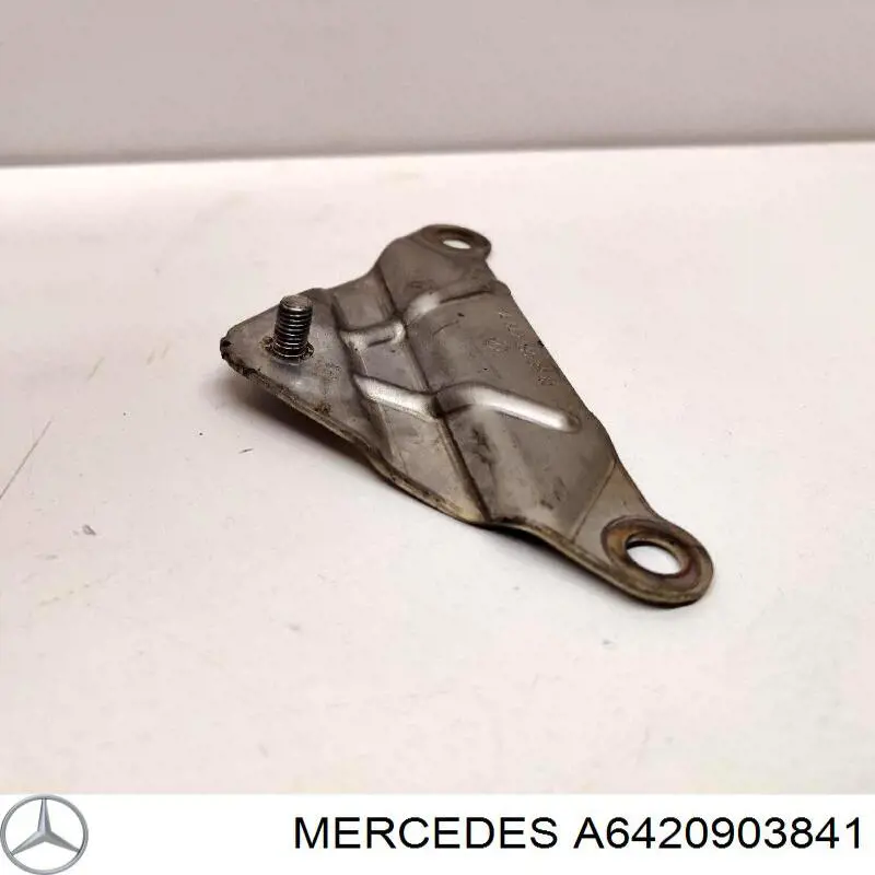 Купити A6420903841 Mercedes 