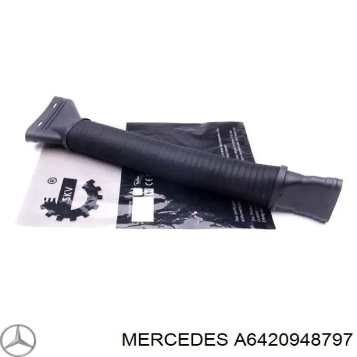 6420948797 Mercedes повітрозабірник повітряного фільтра