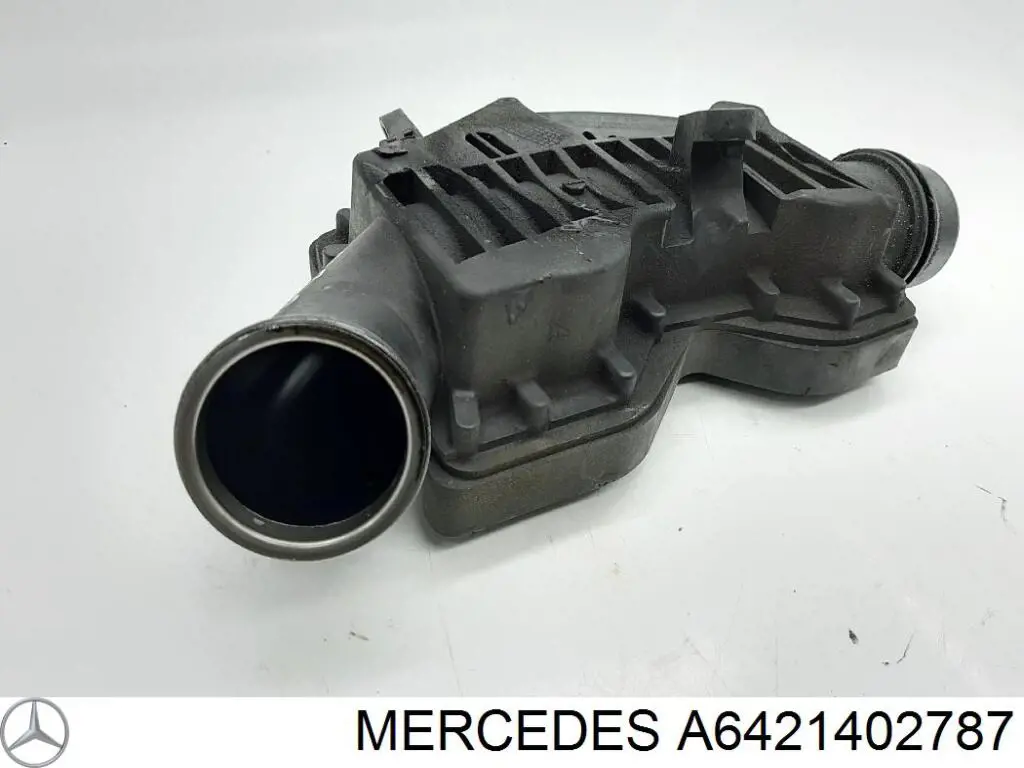 Резонатор повітряного фільтра Mercedes A6421402787 ціна, від 51.26 USD