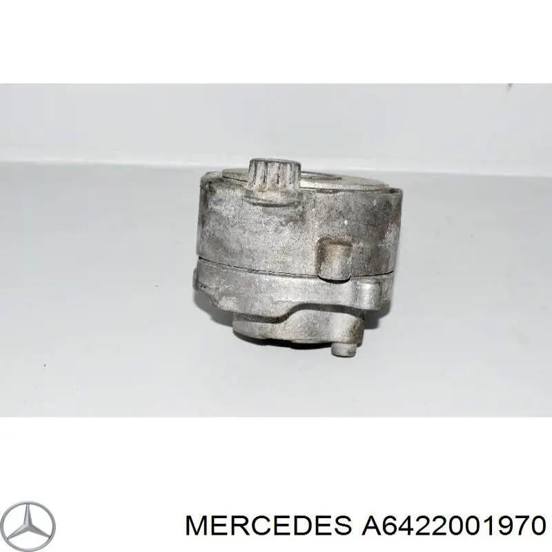 Купити A6422001970 Mercedes Натягувач приводного ременя