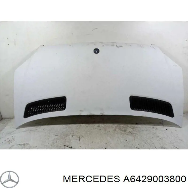 A6421531079 Mercedes 