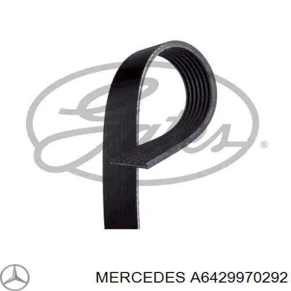 Клиновий ремінь Mercedes A6429970292 ціна, від 27.13 USD