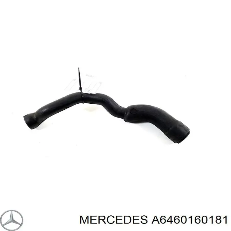 Купити A6460160181 Mercedes Шланг для видалення повітря