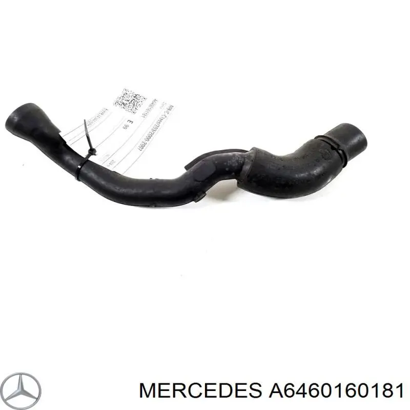A6460160181 Mercedes патрубок вентиляції картера, масловіддільника