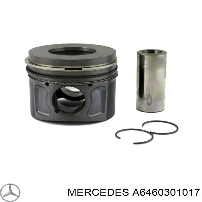 Купити A6460301017 Mercedes Поршень в комплекті на 1 циліндр, STD