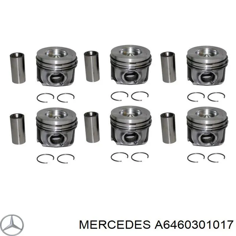 A6460301017 Mercedes Поршня на 1 циліндр, STD