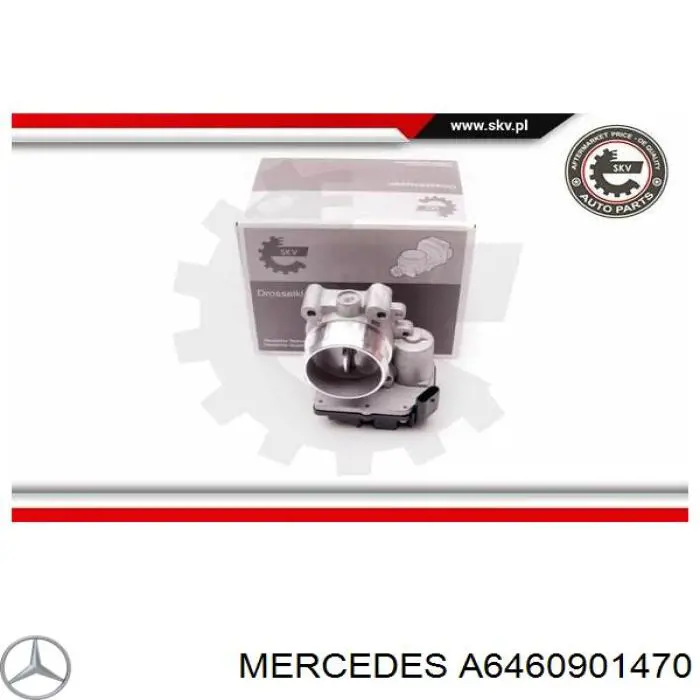 Купити A6460901470 Mercedes Дросільна заслінка