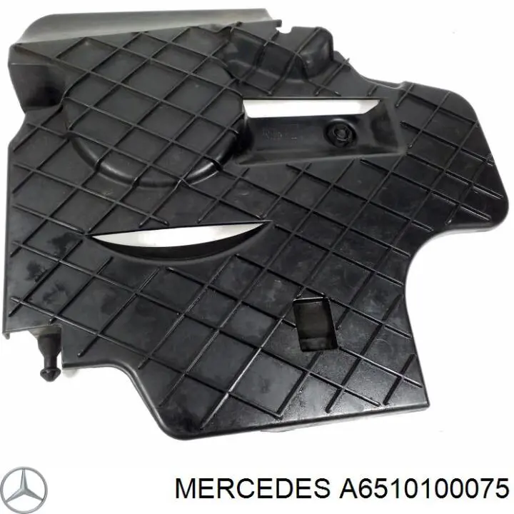  A6510100075 Mercedes