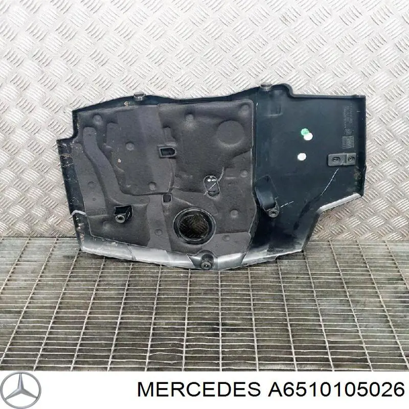 A6510105026 Mercedes Екран двигуна