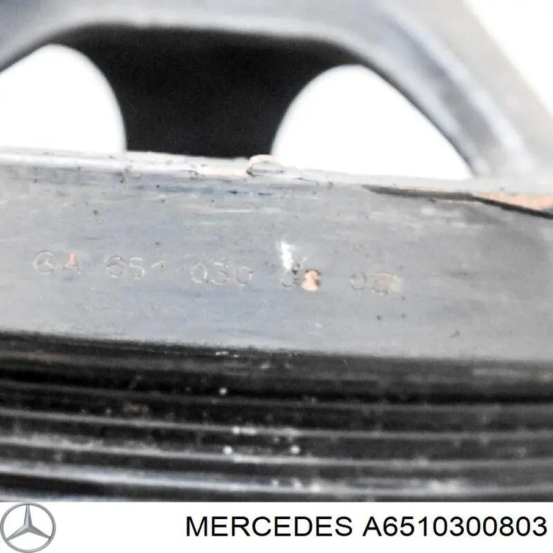  Mercedes A6510300803