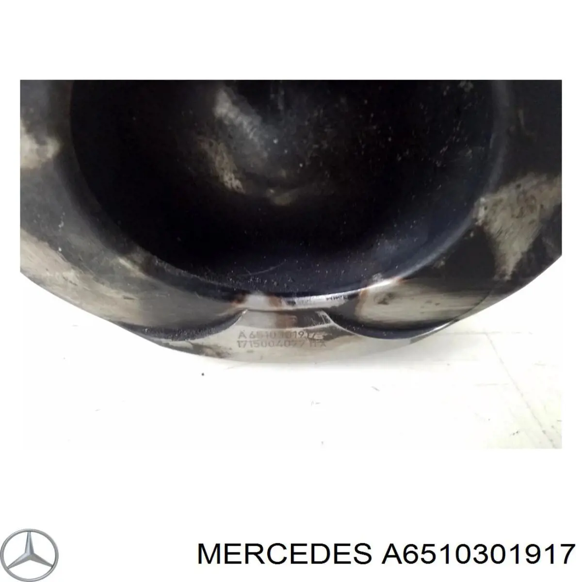 A6510301917 Mercedes Поршня на 1 циліндр, STD