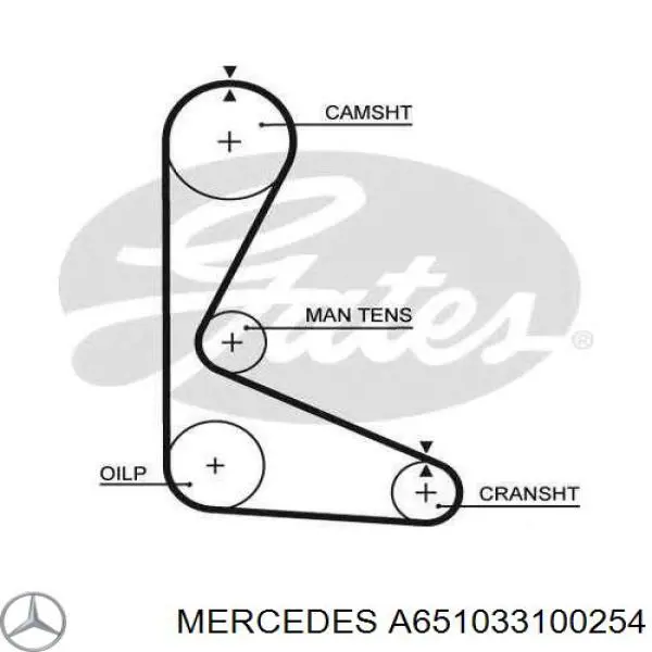  A651033100254 Mercedes