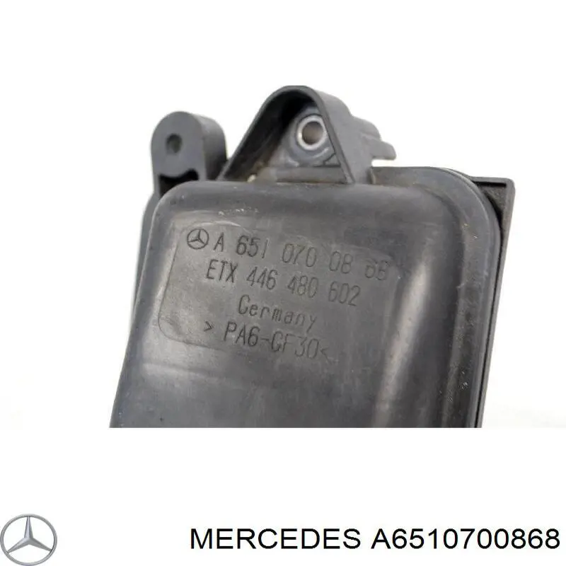 A6510700868 Mercedes 