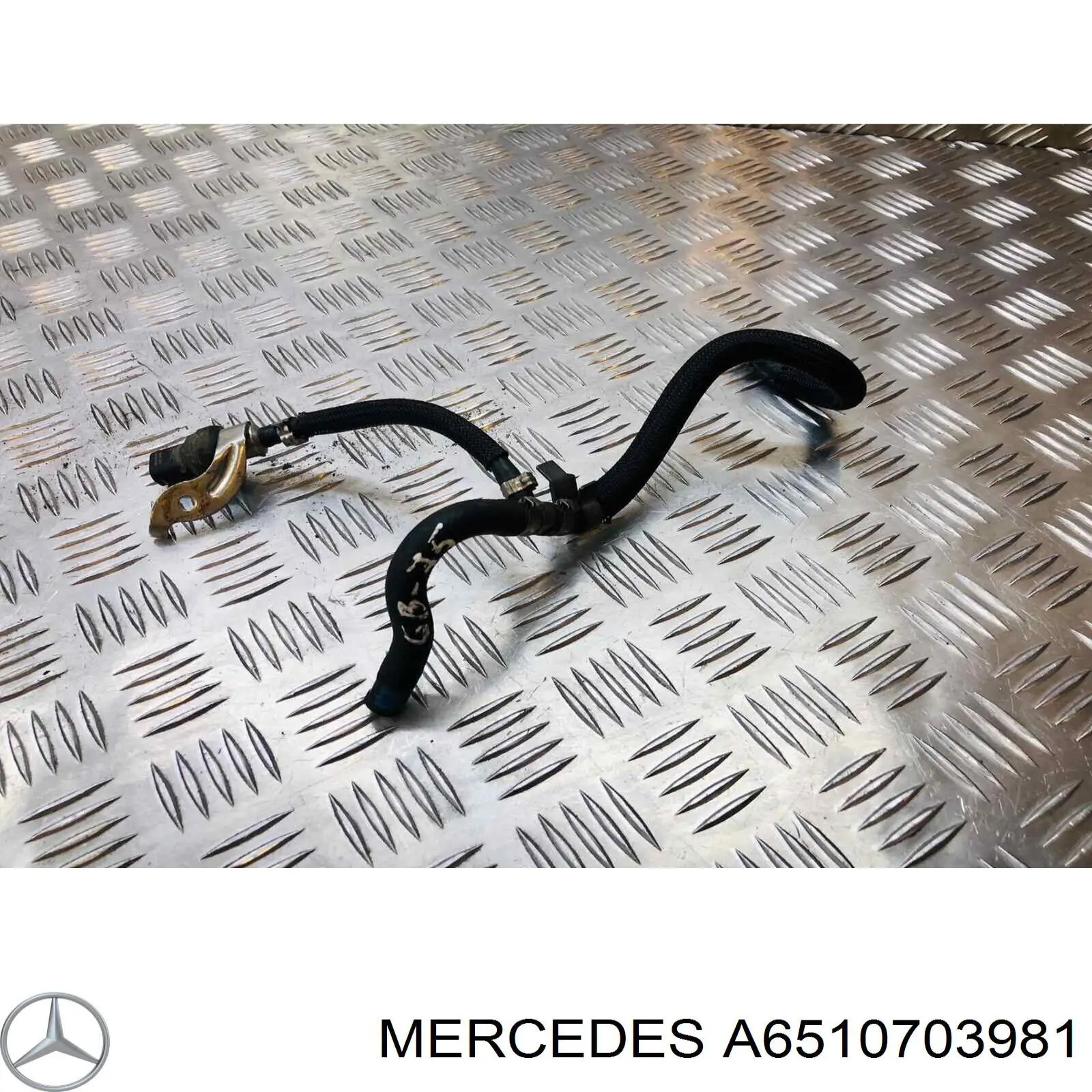 Купити A6510703981 Mercedes Трубка паливна, від фільтра до насосу