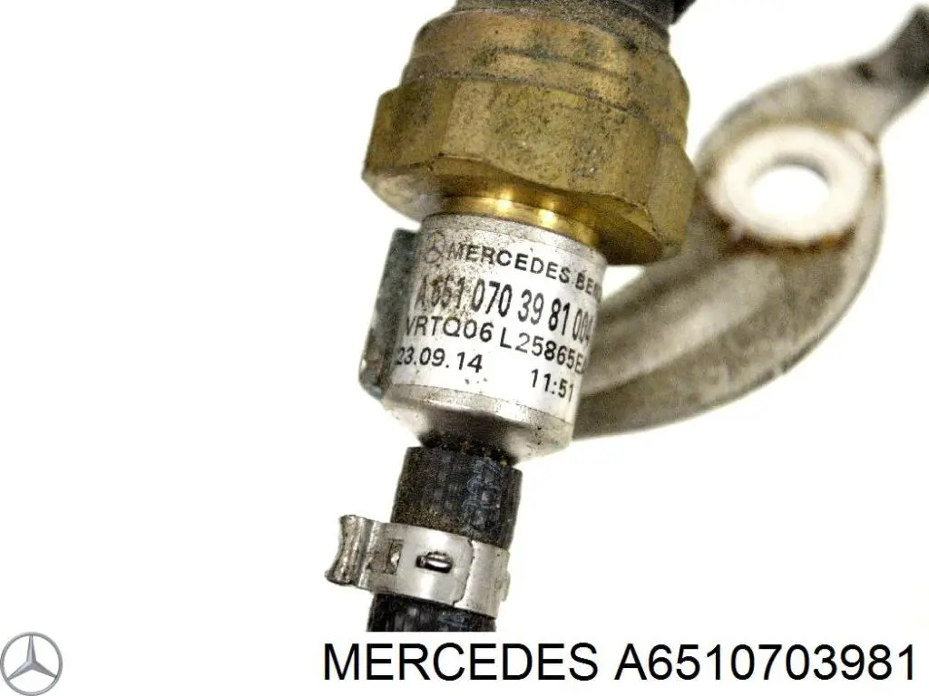 A6510703981 Mercedes Трубка паливна, від фільтра до насосу