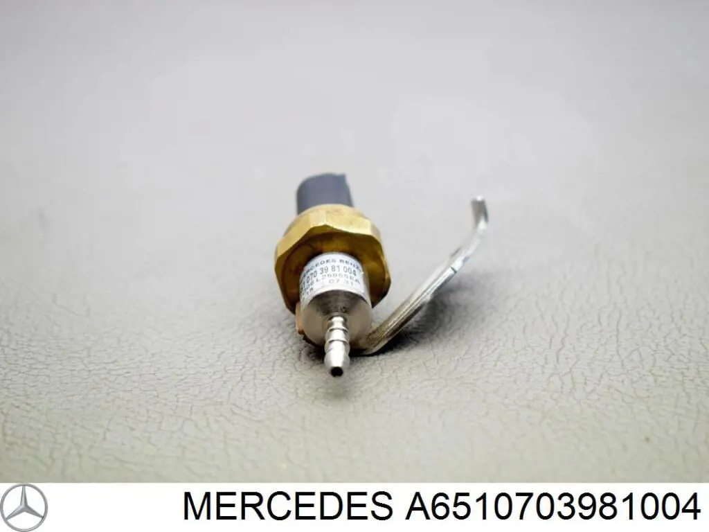  Mercedes A6510703981004